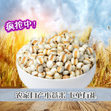 新货 农家自产 纯天然有机精选小薏米仁 薏米 薏米优质苡仁250g