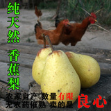 农家自产新鲜香蕉梨巴梨软梨贵妃梨葫芦梨太婆梨纯天然有机水果梨