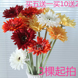 单支大花朵非洲菊高品质仿真花卉 外贸扶郎假花 餐桌上的装饰花