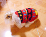 宠物兔穿的衣服 垂耳兔荷兰猪香猪过冬保暖毛衣服 可选花色