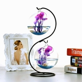 manley简约迷你桌面小鱼缸透明玻璃花瓶创意家居办公室书桌摆件