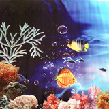 高清水族箱单面背景珊瑚画 海底 鱼缸造景贴纸高50厘米长10厘米