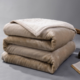 冬天毛毯加厚双层珊瑚绒毯子双人冬季盖毯单人宿舍保暖法兰绒床单