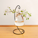 透明悬挂玻璃花瓶 小花瓶水培植物花瓶 办公饰品创意铃铛钟形花瓶