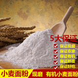 农家馒头面粉山东小麦面粉自种自磨新饺子面粉做包子白面粉250克