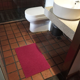 进门入户门厅厨房浴室塑料丝圈脚垫防滑垫地毯定制可裁剪地毯门垫