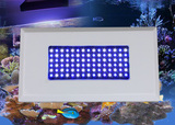 热卖90W LED水族灯 珊瑚水草灯 热带鱼灯植物灯架 大功率鱼灯