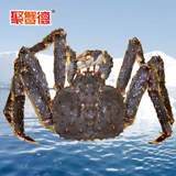 【聚蟹德】阿拉斯加鲜活帝王蟹2000g 进口海鲜 皇帝蟹 海鲜水产