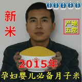 2015年东北特产农家新小米有机月子米非转基因小黄米500克
