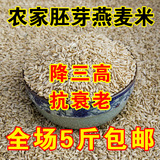 全胚芽燕麦米莜麦米五谷燕麦米燕麦仁裸燕麦粒农家杂粮250克