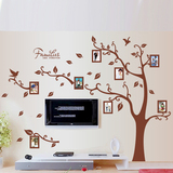 特大客厅沙发墙贴相片树相框贴照片树可移除墙上贴画大树风景贴纸