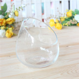 桌面水培多肉容器花盆 斜口透明玻璃花瓶 水养花卉绿植 简约