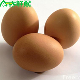 【天鲜配网超】新鲜养殖鸡蛋洋鸡蛋大鸡蛋，一盒起10个起拍！