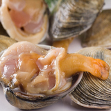 掌柜推荐鲜活天鹅蛋贝深海海鲜刺身料理2000g新鲜带壳现捕生鲜