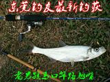 KAWA老男孩1.8米UL调蓝色/白色直柄马口竿路亚竿软钓钓鱼渔具
