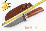 新品进口大马士革钢直刀户外生存专用刀猎刀收藏多用刀手工刀小刀