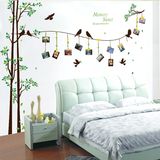 超大小鸟相框照片墙贴树 装饰教室卧室客厅沙发自粘墙壁贴纸贴画