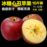 【天猫预售】云南昭通野生冰糖心野生丑苹果10斤75-80果吃的苹果