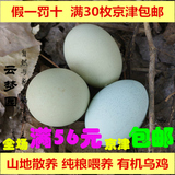 山地散养乌鸡蛋必备孕妇绿皮蛋假一赔十京津有机30枚土鸡蛋