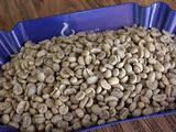 埃塞俄比亚水洗西达摩咖啡生豆 G2等级进口精品咖啡庄园生豆