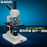 SAGA萨伽光学生物显微镜XSP-35TV  高倍高清儿童专业电子便携养殖