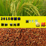 有机红米 粳米红糙 稻米红米饭红大米新货 五谷杂粮粮油米面500g