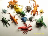 热卖仿真塑胶 昆虫模型 昆虫玩具 蜘蛛 甲虫 蝗虫 蜻蜓 蚂蚁蝎子