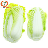 大白菜一颗约3斤装精品白菜新鲜蔬菜娃娃菜清甜可口绿色无公害