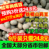 农家零食年货团购滋补营养土特产品新鲜正宗沙土铁棍山药豆蛋9斤