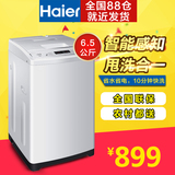 Haier/海尔 XQB65-M1268 关爱洗衣机全自动6.5公斤省水省电大容量