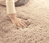 客厅地毯床边地毯床头地毯卧室地毯飘穿地毯茶几地毯 包邮