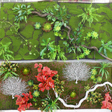 苔藓植物墙 假草皮人工草皮绿植仿真多肉室内墙体装饰假苔藓地毯
