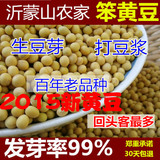 沂蒙山农家笨黄豆自种黄豆非转基因有机大豆打豆浆生豆芽专用250g