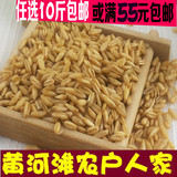新货燕麦米 五谷杂粮农家自产燕麦仁裸燕麦胚芽米500g