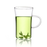 Nonxis加厚玻璃杯 凉白开透明水杯圆形带把牛奶杯 微波可用绿茶杯