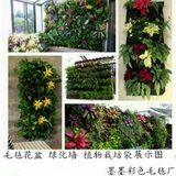 【天天特价】壁挂式种植袋植物袋绿化植物墙阳台种植袋立体花盆