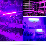 昊林led植物生长灯室内红蓝光光合作用开花结果防水节能补光灯管