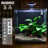 Haqos喜高 创意鱼缸 办公桌面造型小鱼缸 生态水草缸 小型鱼缸