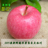 【果然香】洛川新鲜圣诞苹果水晶红富士10斤纯天然苹果富士包邮