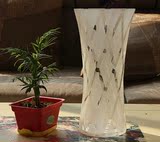 包邮 透明玻璃花瓶富贵竹大号 现代时尚水培花器水晶花瓶收腰磨砂