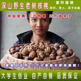 2015年甘肃现货农家野生山核桃孕妇非漂白老树核桃原味散装500g