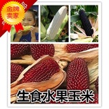 草莓菠萝玉米种子迷你水果蔬菜玉米种子可生食水果玉米种子包邮