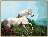 数字油画diy包邮特价 客厅动物猛兽风景手绘画 白色骏马40*50