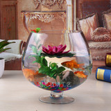 包邮中号桌面办公室创意小鱼缸桃行杯型水盆缸 红酒杯行璃花瓶