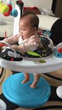 韩国直送 Evenflo 婴儿健身毯游戏桌椅 音乐跳跳椅 游戏桌 学步车