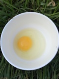 新鲜绿壳鸡蛋 新鲜初生土鸡蛋 30枚 农家散养  包邮