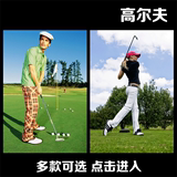 现代装饰画体育海报 高尔夫 golf 健身周边挂画贴图来图定做制作