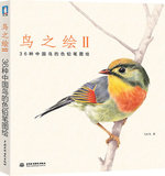 鸟之绘II 36种中国鸟的色铅笔图绘(第2版) 飞乐鸟色铅笔手绘入门书 美术教材  写意花鸟画绘画书籍 漫画素描技法完全教程