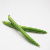 【燎原特惠】丝瓜 线丝瓜 绿色种植绿色无公害蔬菜新鲜青菜顺丰