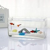 包邮 长方形玻璃鱼缸 斗鱼缸 办公室桌面鱼缸 孔雀鱼缸 一次成型